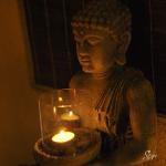 Buddha__14_