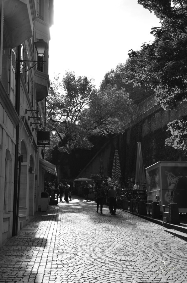 Geneva__23_