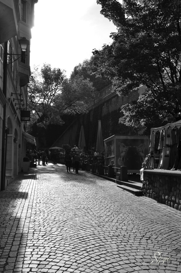 Geneva__24_