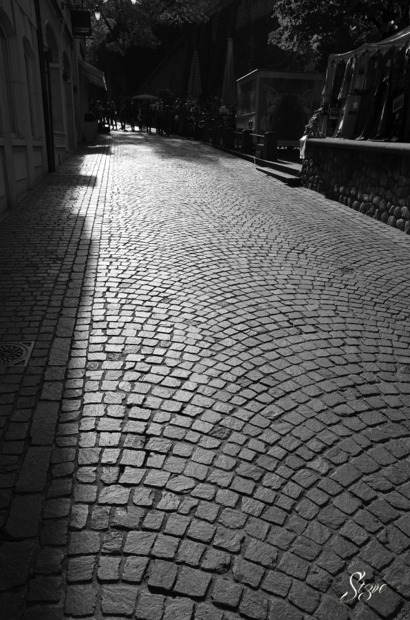Geneva__25_