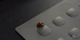 Macro