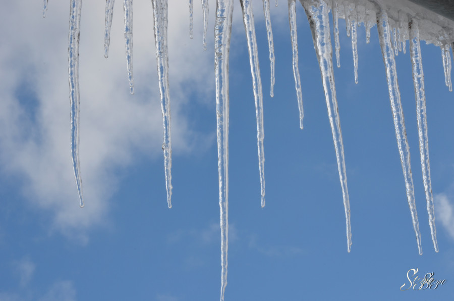 Nikon_2012.02.17_153