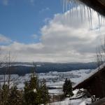 Nikon_2012.02.17_157