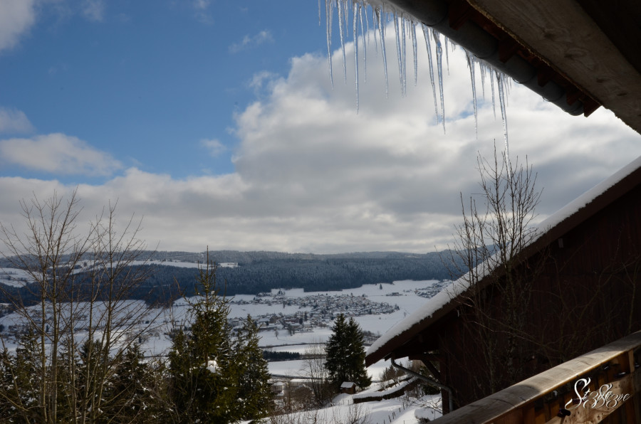 Nikon_2012.02.17_157