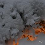 Nikon 2012.02.17 081