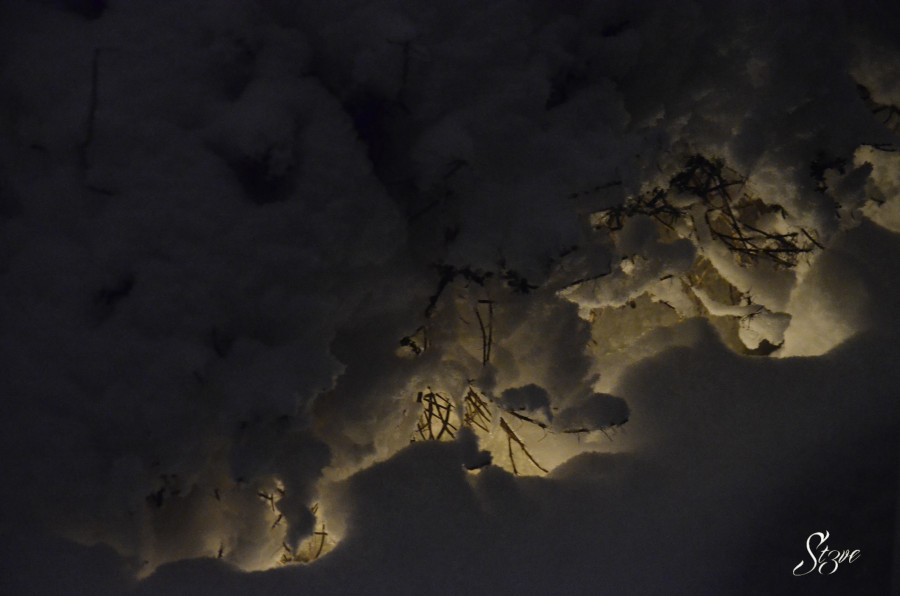 Nikon 2012.02.17 083