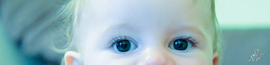 PhotosArt1