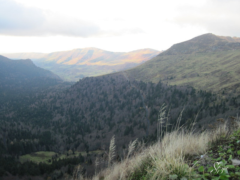 Viocs_2011_Aurillac_018_.resized