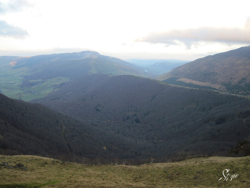 Viocs_2011_Aurillac_021_.resized