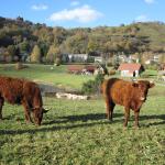 Viocs_2011_Aurillac_02_.resized