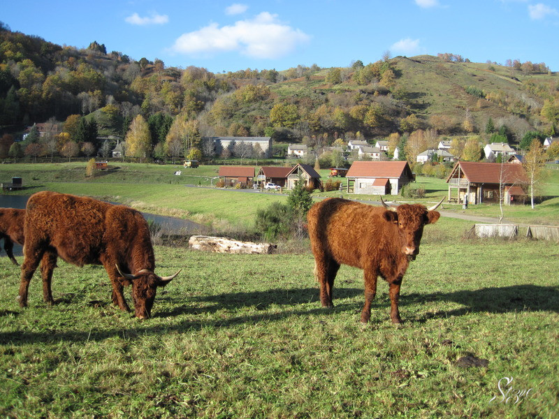 Viocs_2011_Aurillac_02_.resized