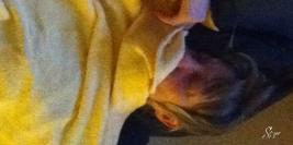 Weekend_Viocs-30_09_2010