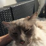 Erreur32 _IMG_0605