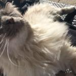 Erreur32 _IMG_0607